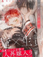 星屑回收站 先导视觉